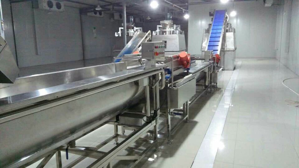LWX-104 渦流式震動(dòng)瀝水洗菜機(jī)